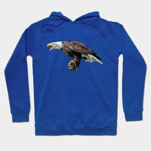 Screaming Bald Eagle Hoodie